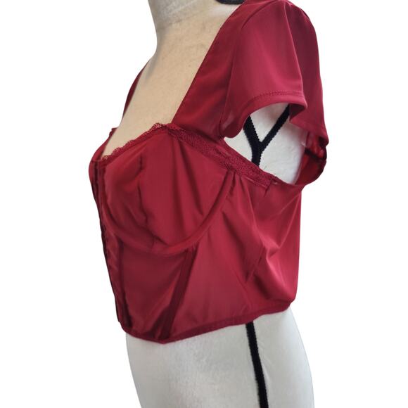 Faded Rose Sz XL Sheer Red Mesh Corset Top Cap Sleeve Underwire Whimsygoth Vamp - Picture 4 of 7